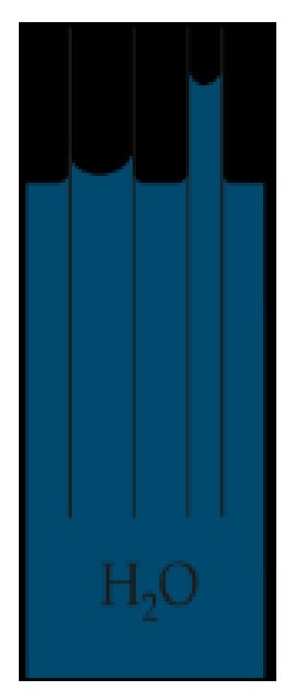 Card back image