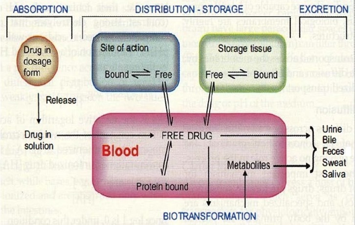 Card front image
