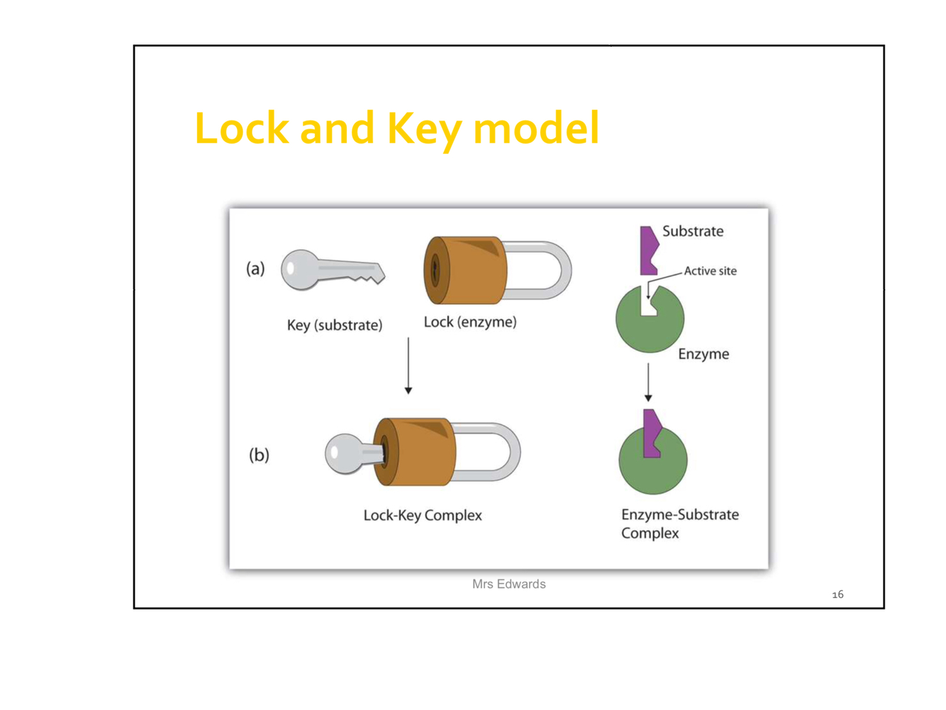Card back image