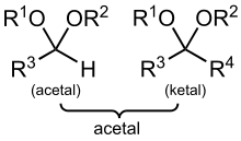 卡片背面图片
