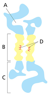 Card front image