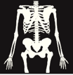 Card back image