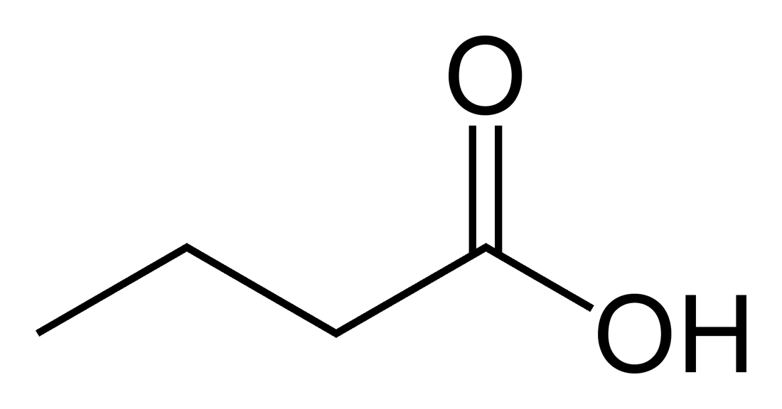 Card back image