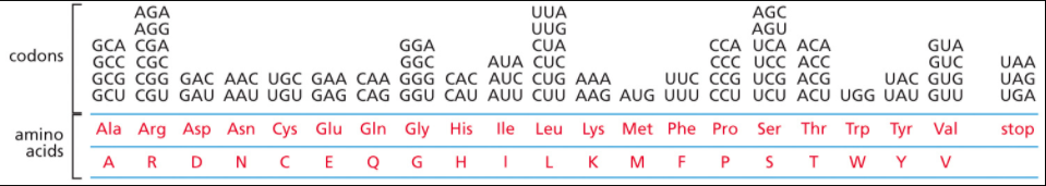 Card front image