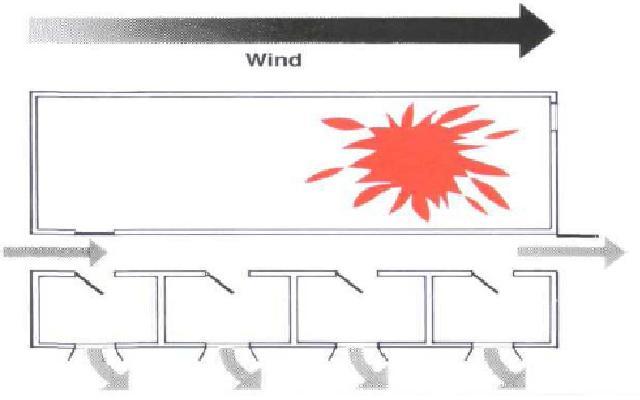 Card back image