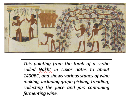 Card back image