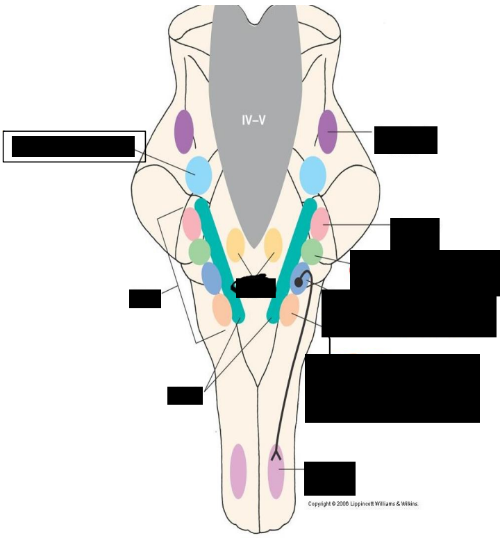 Card front image