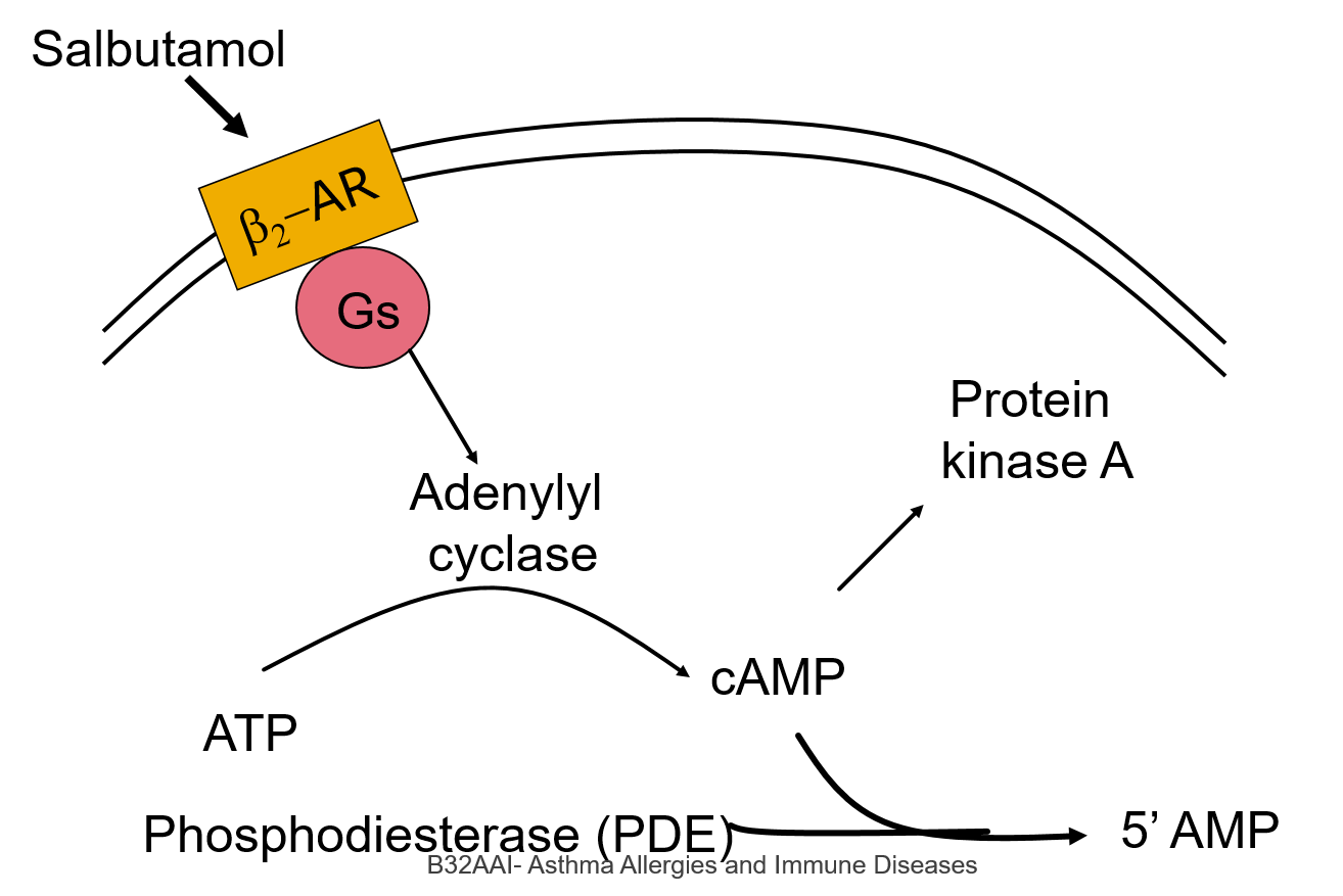 Card back image