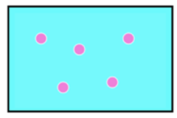 Card back image