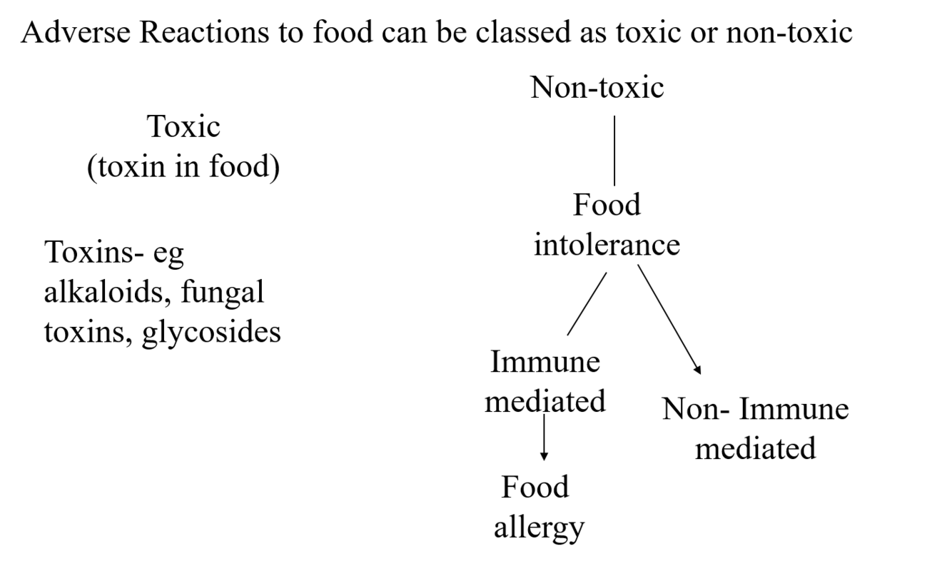 Card back image