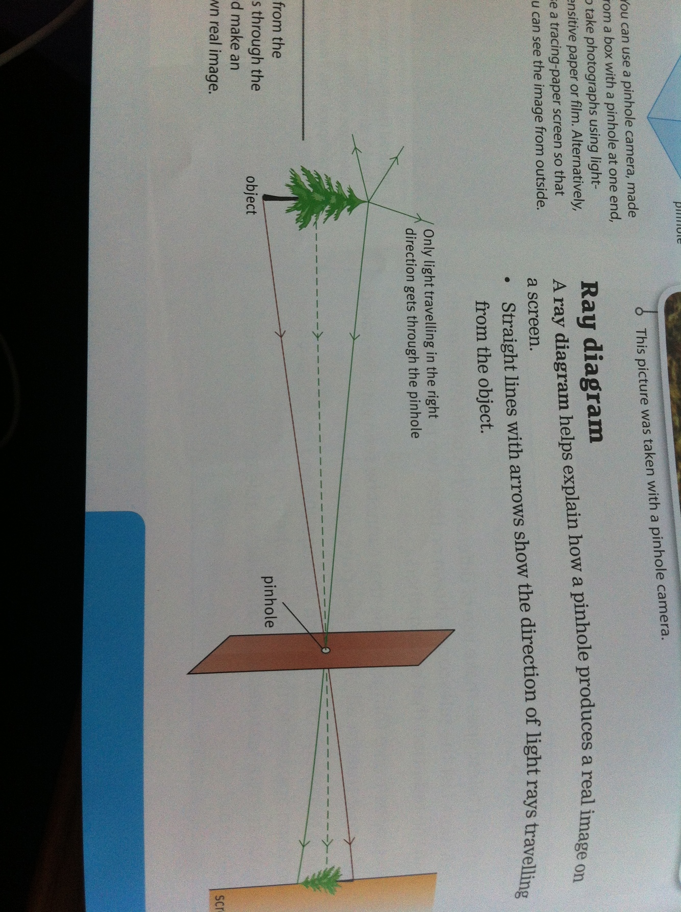 卡片背面图片