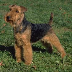 Card front image
