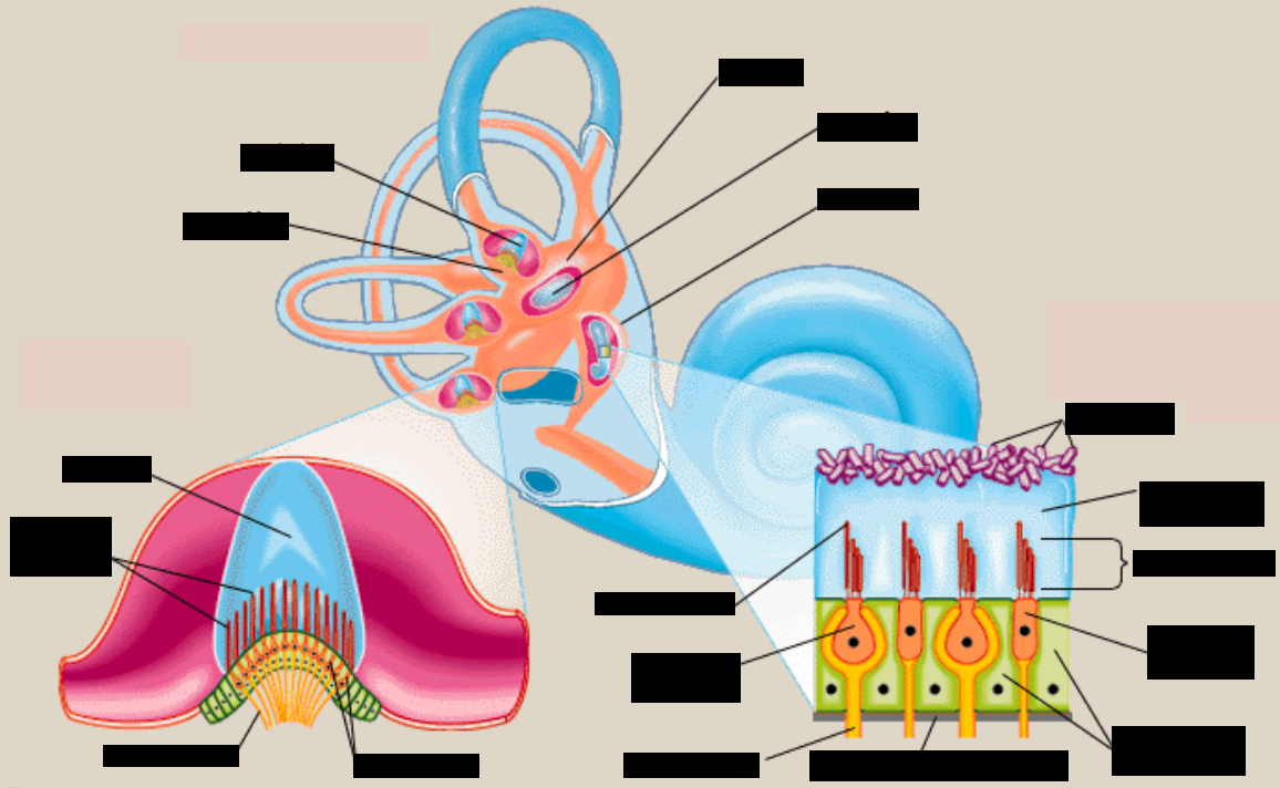 Card front image
