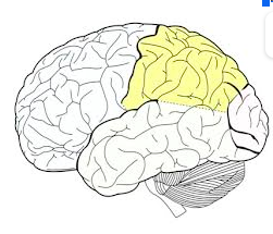 Card front image
