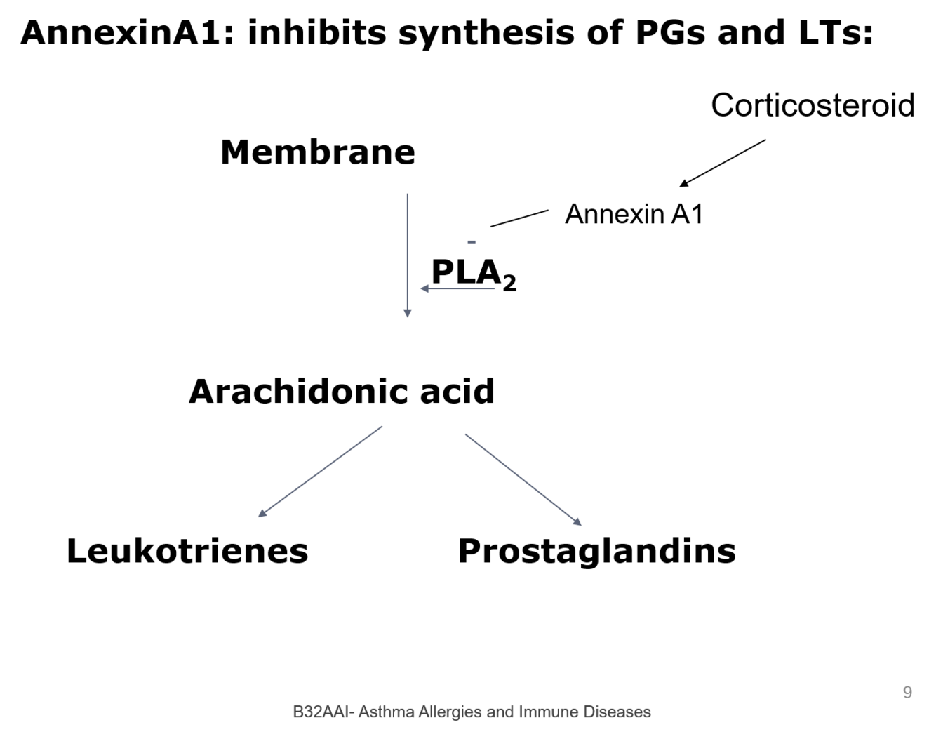 Card back image