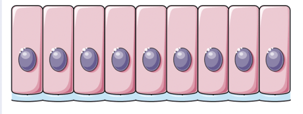 Card front image