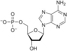 Card front image