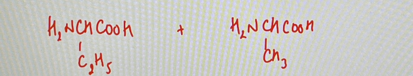 Card back image