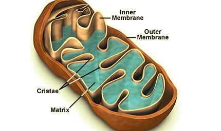 Card front image