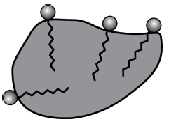 Card front image