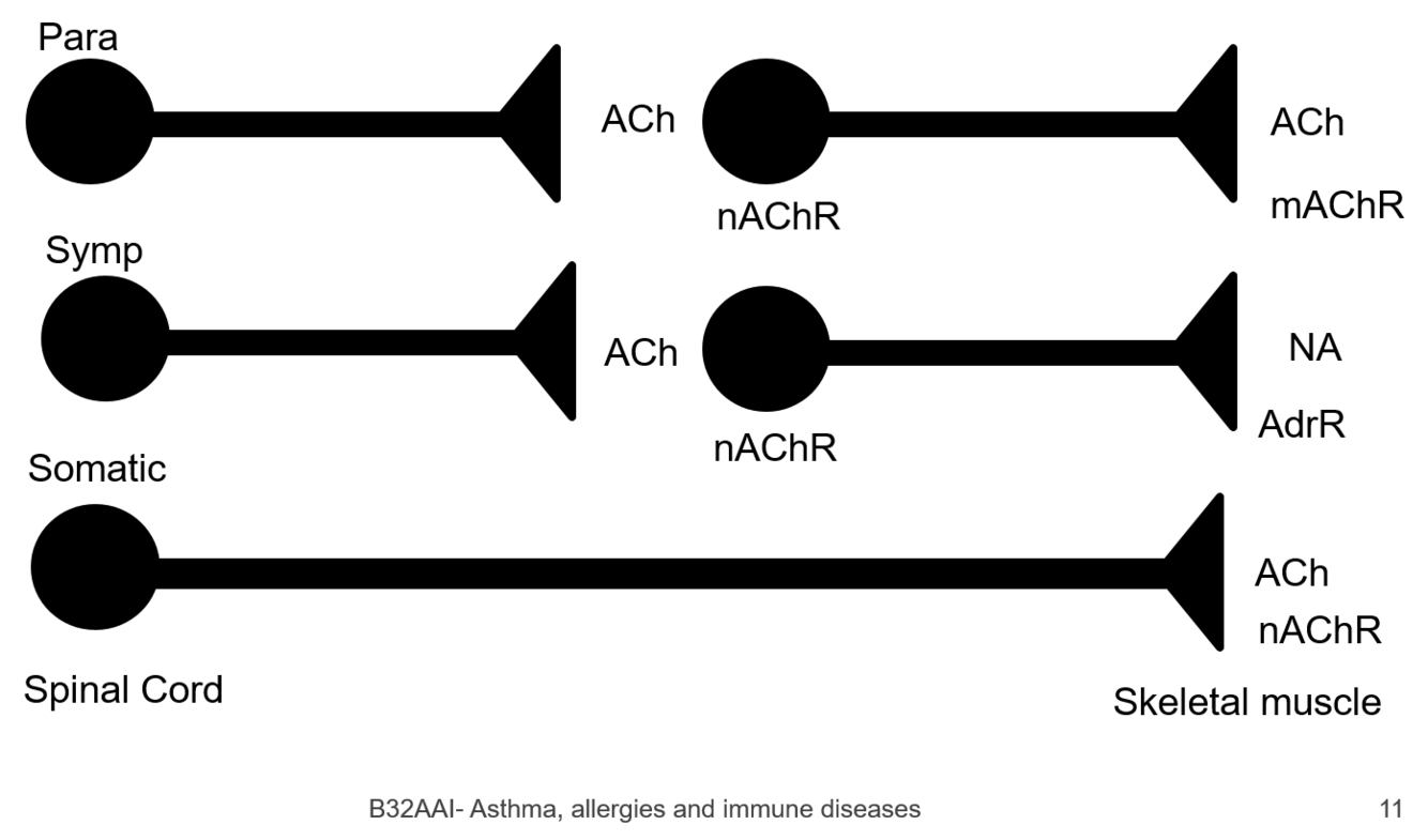 Card back image