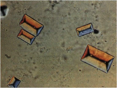Card front image