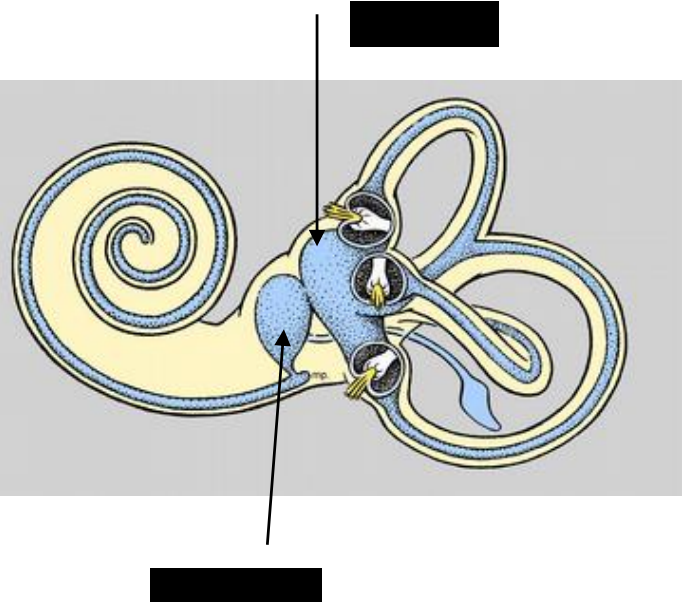 Card front image