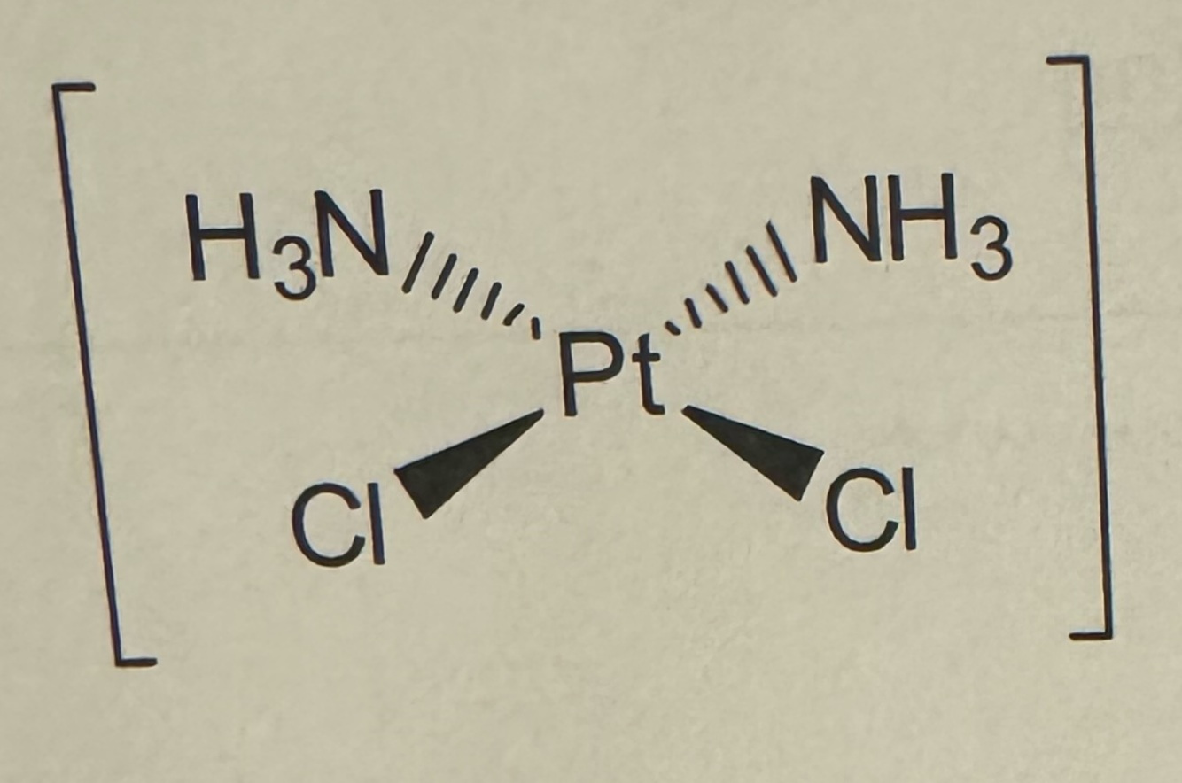 Card back image