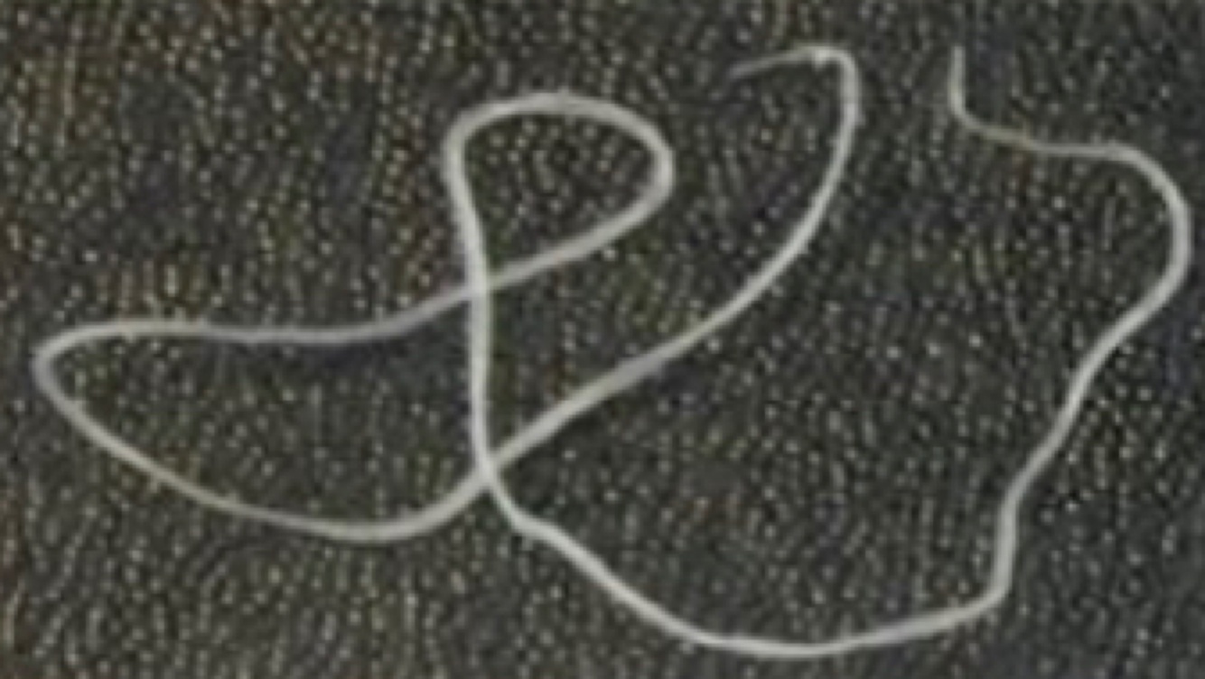 Card front image