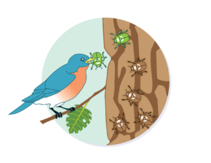 Card front image