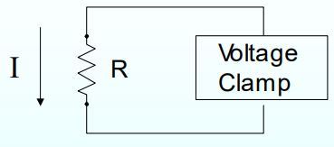 Card back image
