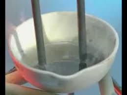卡片背面图片