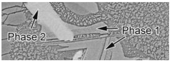 Card back image