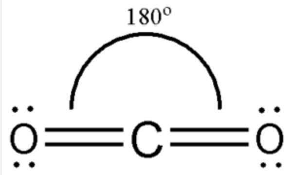 Card back image