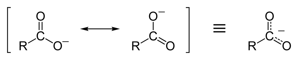 卡片背面图片