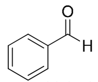 卡片背面图片
