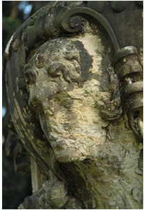 Card front image