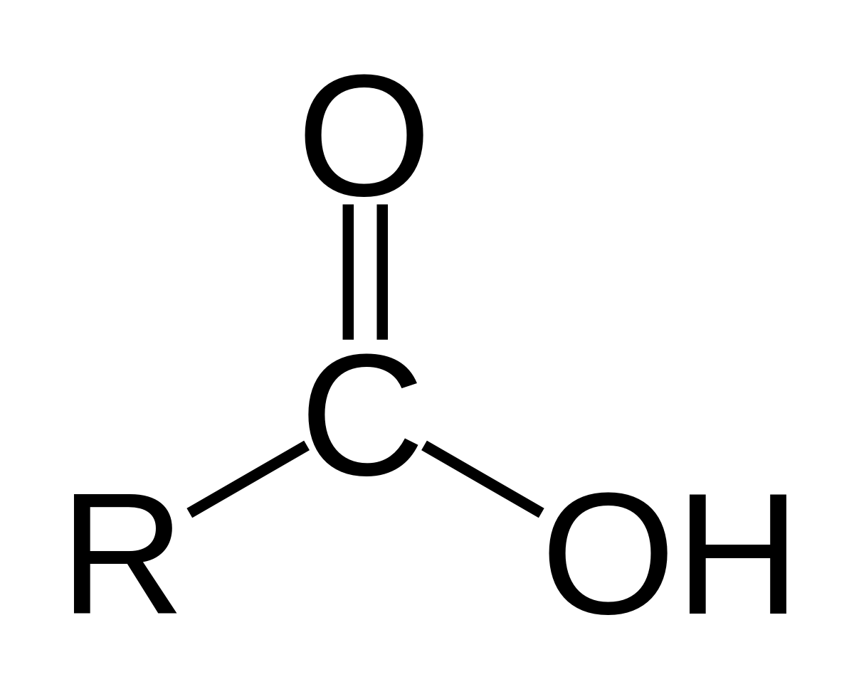 卡片正面图片