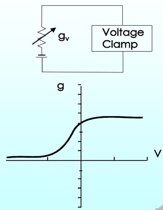 Card back image
