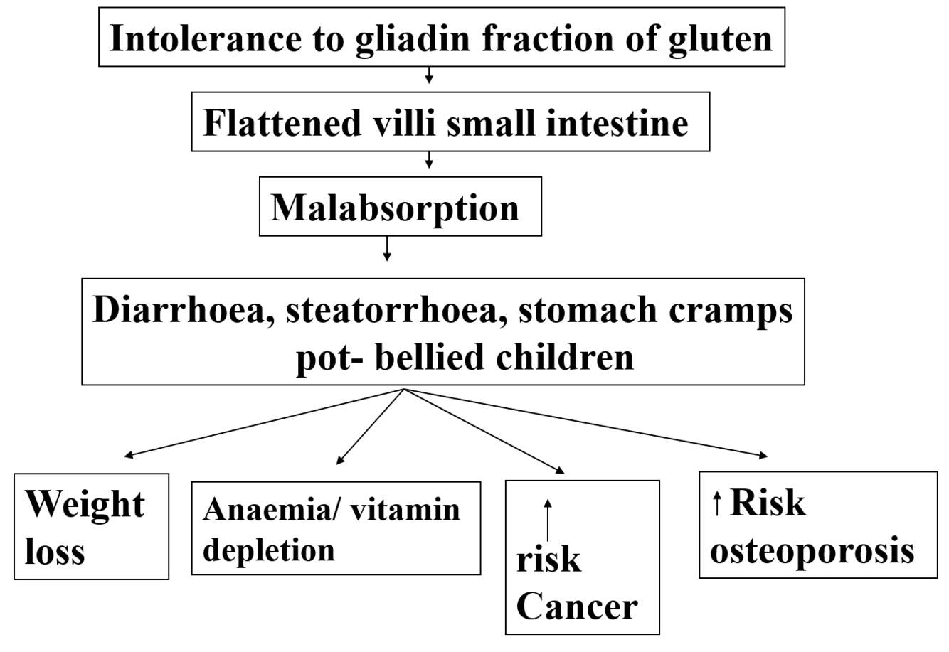 Card back image