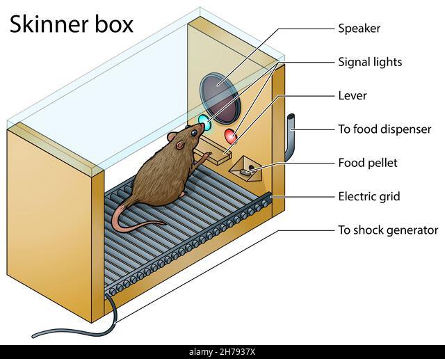 Card front image