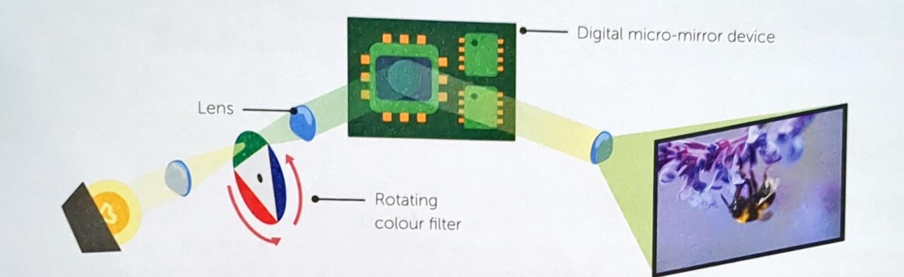 Card back image