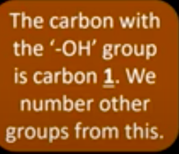 Card back image