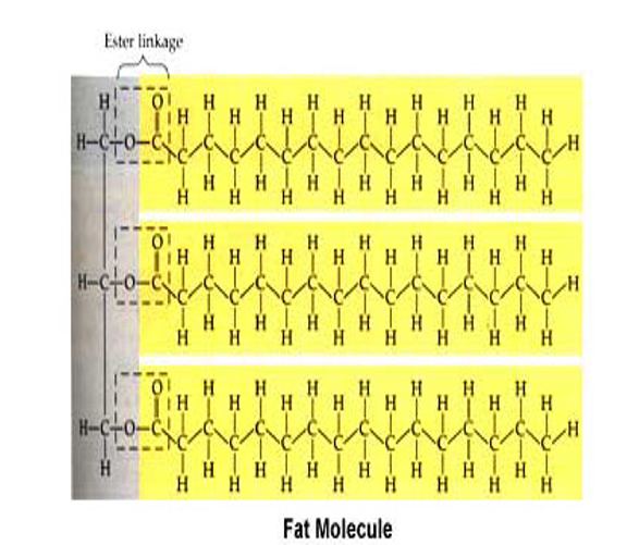Card front image