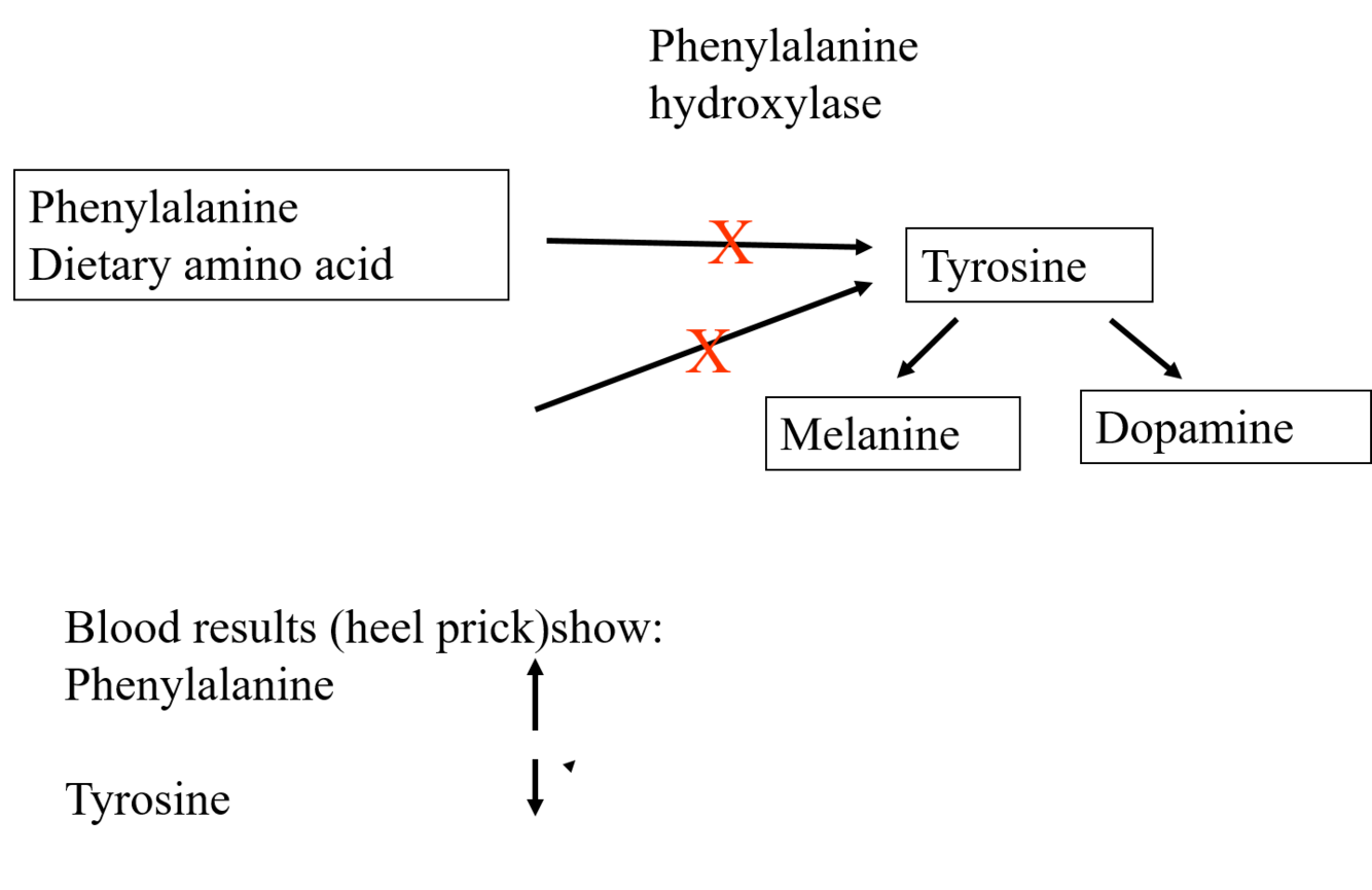 Card back image