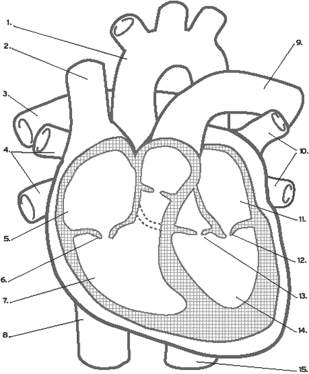 Card front image