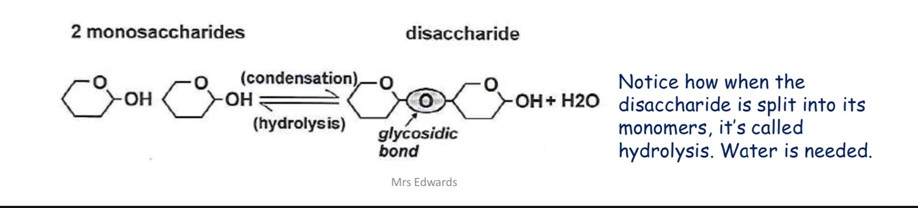 Card back image