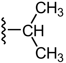 卡片背面图片