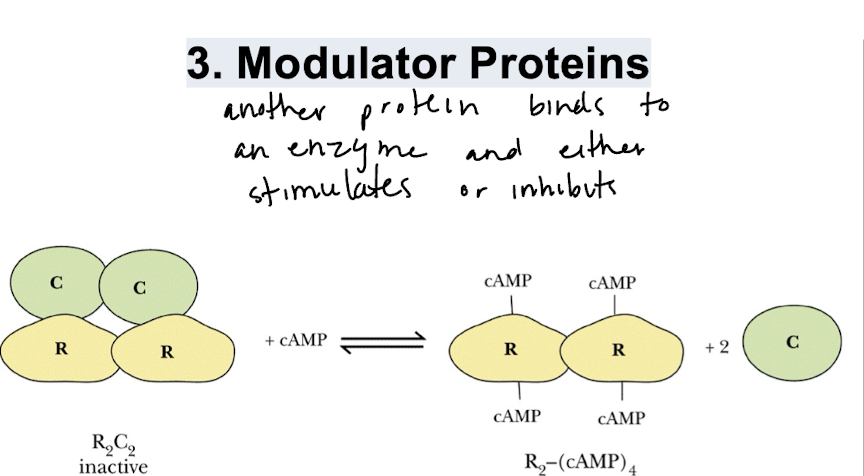 Card back image