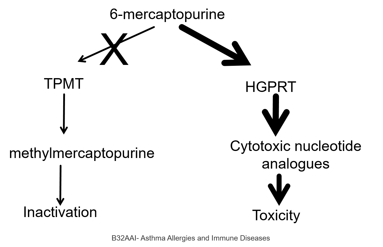 Card back image